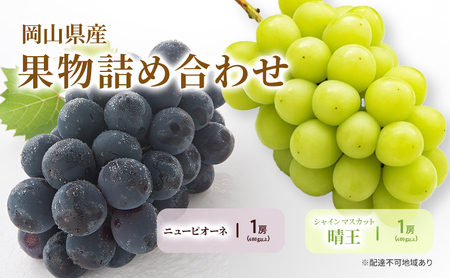 ぶどう詰合せ ニューピオーネ シャインマスカット 岡山県産 ぶどう詰合せ【各1房 480g以上】【先行予約】