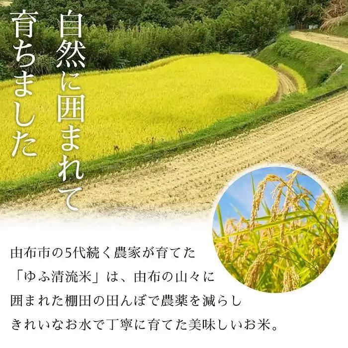 大分県産ひのひかり「ゆふ清流米」【7分つき】30kg