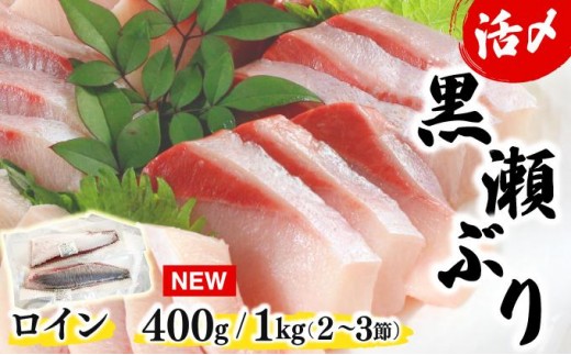 
                  KU281 高評価！活じめ！黒瀬ぶりの生鮮ブリロイン 400g 1kg | 刺身やぶり丼、カルパッチョやサラダなどに！
                