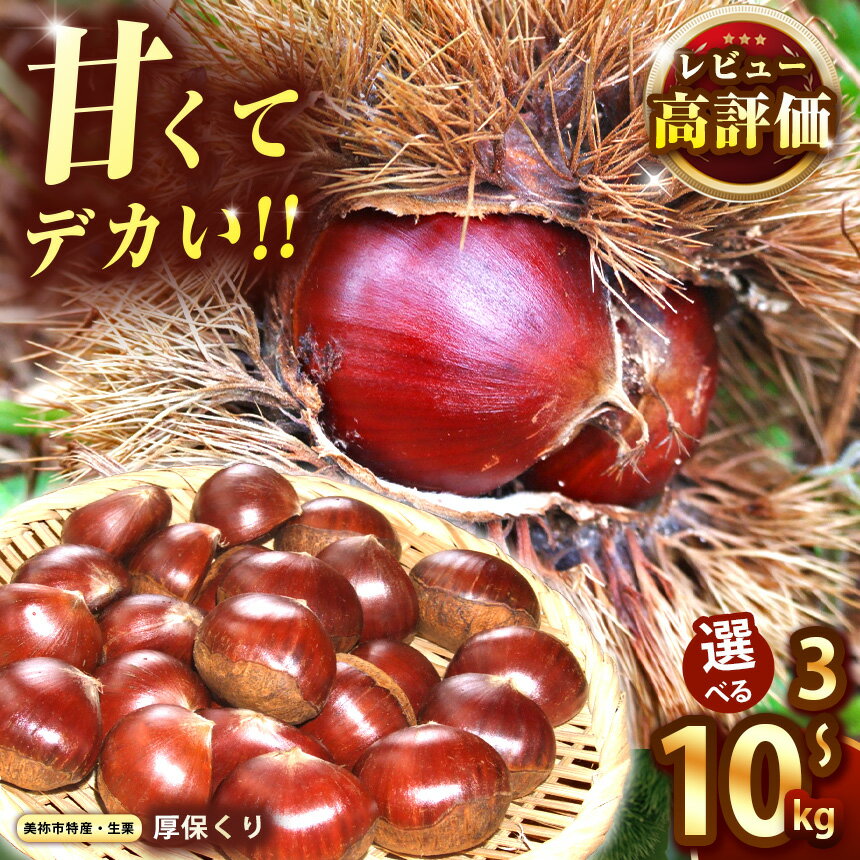 【ふるさと納税】 先行予約 期間限定 ！ 甘くて デカい ! 厚保くり ( 生栗 ) 3kg / 5kg / 10kg 山口美祢産 ＜2026年10月上旬頃～ 11月中旬発送予定＞ ｜ 山口 美祢 栗 くり 厚保 大きい 甘い 大玉 特産品 焼き栗 栗ご飯 生栗 季節限定