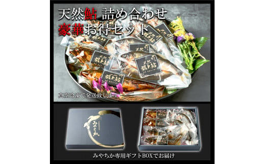 【G0094】天然鮎専門店みやちかの【天然鮎詰め合わせ】長良川郡上鮎 食品  魚介類 水産加工品  加工品  その他