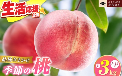 季節の桃 約3kg 7～12玉［ おぶせファーマーズ ］桃 もも モモ ピーチ フルーツ 果物 たまき なつき あかつき 川中島白鳳 なつっこ 川中島白桃 黄金桃 だて白桃 先行予約 長野県産 信州産 クール便 冷蔵便 お取り寄せ 産地直送 数量限定 産地 直送 令和8年産【2026年7月中旬～9月中旬発送】［F-62］