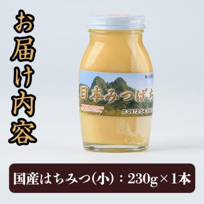 ふるさと納税 佐伯市 国産 はちみつ (230g) 多賀さん採蜜 |  | 01