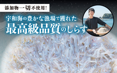 【愛媛県・佐田岬直送】木嶋水産の釜揚げしらす（2kg×6パックセット） ※着日指定不可 ※離島への配送不可