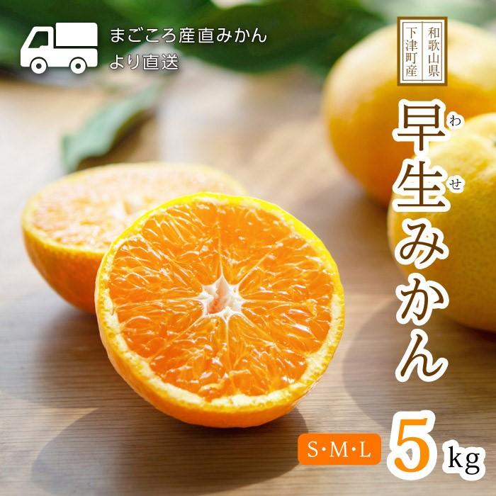 【ふるさと納税】早生みかん 約5kg S・M・Lサイズおまかせ 《赤秀》 和歌山県産 農園直送 まごころ産直みかん 【11月中旬頃発送開始】【北海道・沖縄県・一部離島 配送不可】 果物 柑橘 贈答 Sサイズ Mサイズ | フルーツ 果物 くだもの 食品 人気 おすすめ 送料無料