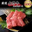 【ふるさと納税】牛肉 山形牛 5等級 モモ カット ステーキ 100g×6パック 計 600g 山形県 河北町 黒毛和牛 モモ肉 国産牛 便利な 小分け 真空 冷凍 個別包装 数量限定 お取り寄せ グルメ 送料無料 ギフト 赤身 ステーキ