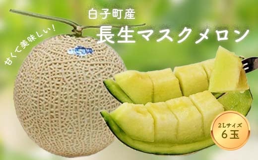 【数量限定】甘くて美味しい！長生マスクメロン６玉（２L） ふるさと納税 メロン マスクメロン 長生マスクメロン ながいきマスクメロン ６玉 令和8年発送 先行予約 産地 直送 果物 追熟 青肉 甘い デザート 美容 お見舞い 果物 手土産 送料無料 SHK007