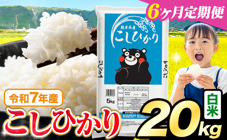 【6ヶ月定期便】令和7年産 米 白米 こしひかり 20kg《お申込み翌月から出荷》熊本県産 ふるさと納税 白米 精米 ひの 米 こめ ふるさとのうぜい コシヒカリ コメ お米 おこめ---reihoku_loc_613_mo6---