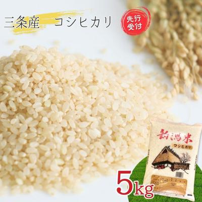 ふるさと納税 三条市 先行受付 新潟県三条産コシヒカリBL 5kg×1袋 令和7年産コシヒカリ 精米 【016S082】