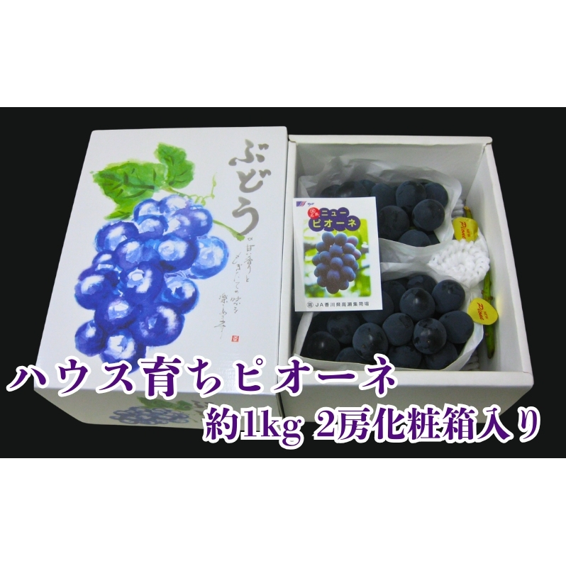 ハウス育ち ピオーネ 約1kg 2房化粧箱入り 果物 ぶどう ブドウ フルーツ 