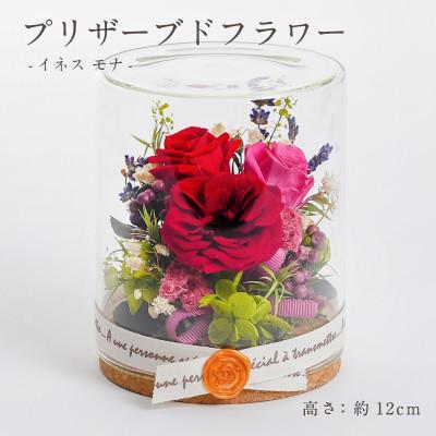 ふるさと納税 羽島市 プリザーブドフラワー ガラスケース入りアレンジ 【イネス モナ(レッド)】