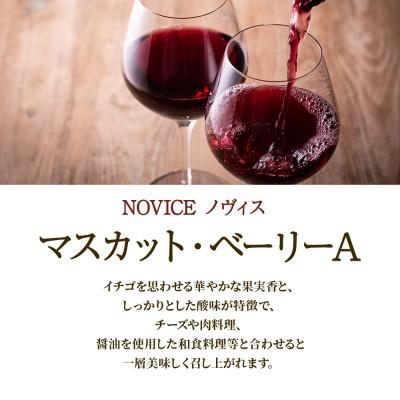 ふるさと納税 笛吹市 【無地熨斗】赤ワイン NOVICE マスカット・ベーリーA 1800ml 日川中央葡萄酒 笛吹市 |  | 01