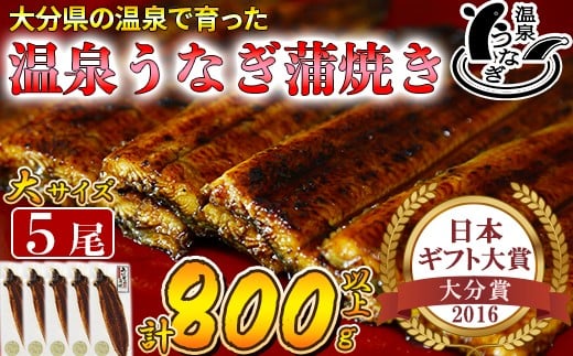 「源泉かけ流し軟水温泉」で育った自慢の鰻です