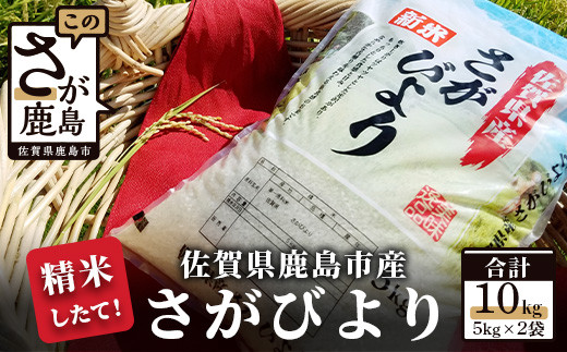 
            B-167 【精米したて!】令和6年産 さがびより １０kg（5kg×2袋）
          