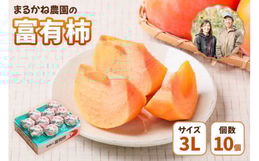 【令和8年産／2026年11月上旬～発送予定】 富有柿 贈答用 3Lサイズ 10個入り 先行予約 | まるかね農園