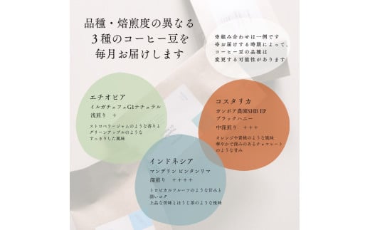 【定期便：3ヶ月連続でお届け】高品質シングルオリジンコーヒー・ドリップバッグ3種セット （1袋あたり11個×3品種）×3ヶ月 1075023　コーヒー 珈琲 ドリップ