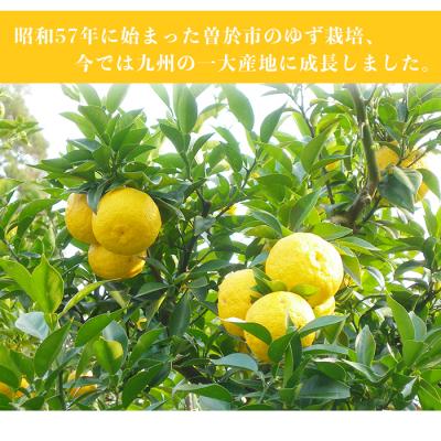 ふるさと納税 曽於市 子どもも喜ぶゆず彩りセット(飲料編)2 |  | 01