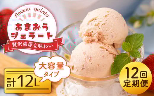 【全12回定期便】福岡産 あまおう ジェラート 1000ml＜南国フルーツ株式会社＞那珂川市 [GCD051]