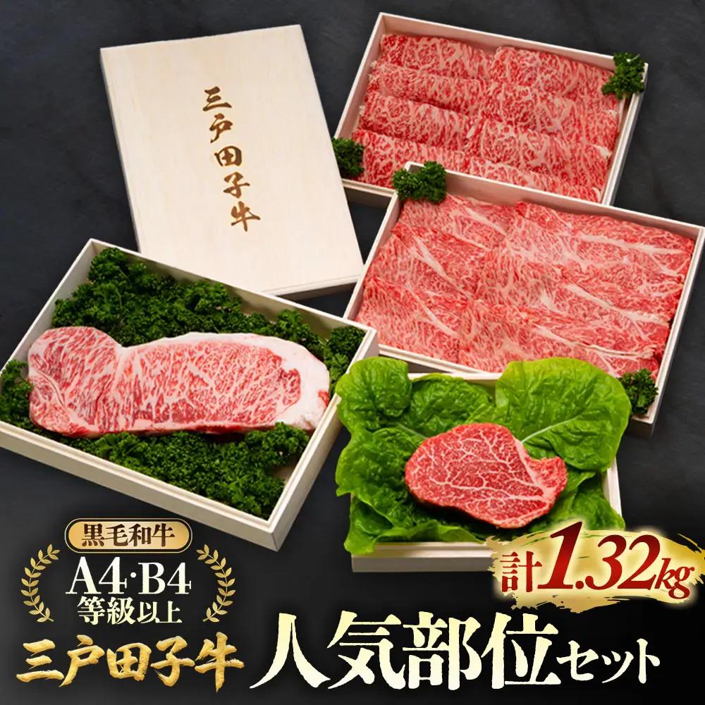 国産和牛 人気部位セット 1.32kg 黒毛和牛「三戸・田子牛」
