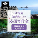 【ふるさと納税】北海道 知内町☆応援寄付金☆【返礼品なし】知内町 ふるさと納税 北海道ふるさと納税 寄付のみ 返礼品なし 【AQ01】