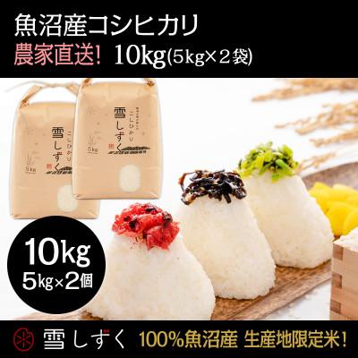 ふるさと納税 十日町市 令和7年産!魚沼産コシヒカリ 雪しずく【農家直送!】 精米5kg×2袋