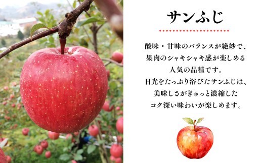 ≪12月発送 ≫100年の歴史 訳あり 家庭用サンふじ 約2kg【田中農園 青森りんご 平川市産】