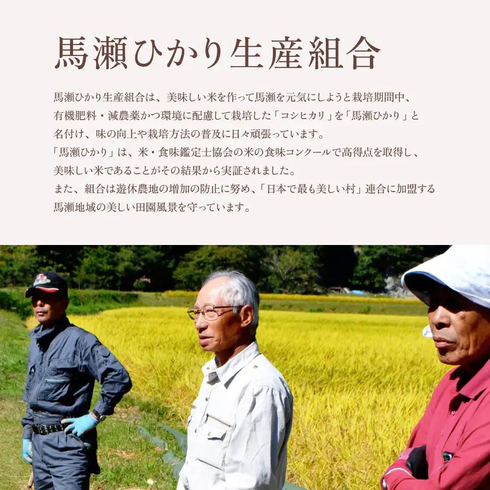 【数量限定】新米予約受付【2026年産米】(2026年10月中旬頃から順次発送) 馬瀬ひかり 5kg 【125-1】
