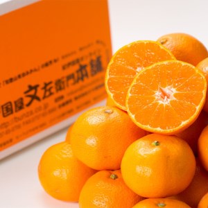 田村みかん/特選ギフト品10kg【Mサイズ】赤秀｜湯浅町田村地区産 産地直送 最高級プレミアムブランドの田村ミカン 紀伊国屋文左衛門本舗 ※2024年11月下旬～2025年1月下旬頃に順次発送予定