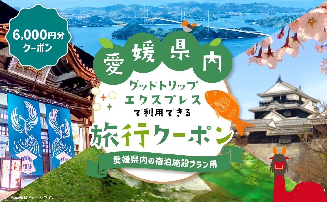 
                  愛媛県内の宿泊施設に泊まるふるさと納税旅行クーポン 6,000円分 旅行クーポン 旅行券 クーポン 券 旅行 観光 国内旅行 家族旅行 ひとり旅 愛媛県旅行 宿泊 カップル 夫婦 親子 家族 ファミリー （ 1135 ）
                