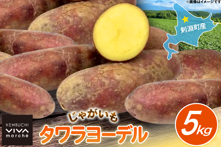 じゃがいも タワラヨーデル 5kg [けんぶちVIVAマルシェ 北海道 剣淵町 14656390] ジャガイモ 芋 いも ポテト 野菜 秋野菜 秋 常備野菜 カレー シチュー マッシュサラダ コロッケ