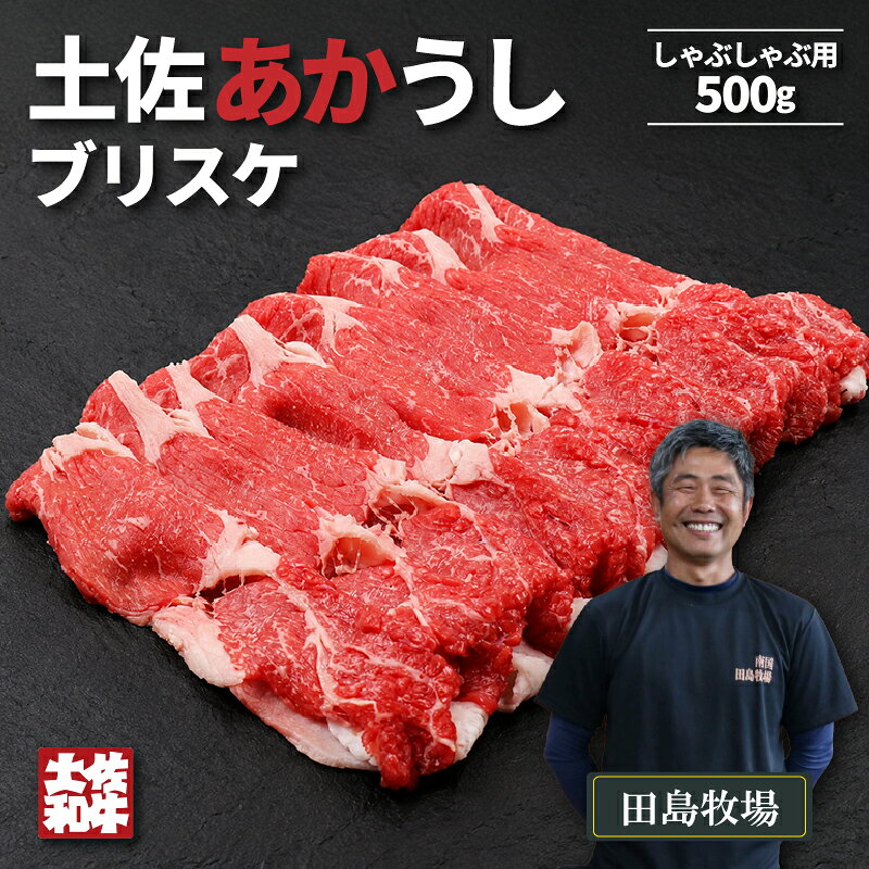 【ふるさと納税】 土佐 あかうし 赤牛 赤身 ブリスケ(前バラ) しゃぶしゃぶ用 500g | 和牛 あか牛 アカウシ 牛肉 希少 ブランド 国産 プレゼント ギフト 冷凍 贈答 高知県 南国市