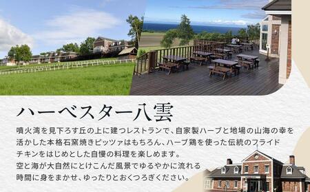 北海道八雲町　宿泊割引券3,000円分×5枚 | 旅行　旅行　旅行　旅行　旅行　宿泊券　宿泊券　宿泊券　宿泊券　宿泊券　【 宿泊券 割引券 旅行 ホテル ホテルチケット 観光 宿泊 ご当地 八雲町 北