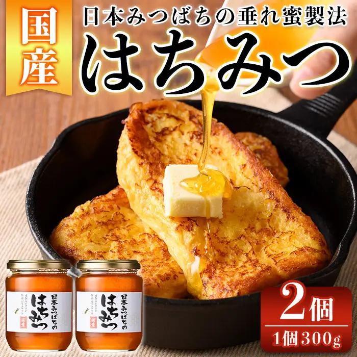 n351 数量限定 種子島産 蜂蜜 日本みつばちのはちみつ 300g × 2個 ハチミツ 垂れ蜜 百花蜜 【ひさちゃん養蜂園】