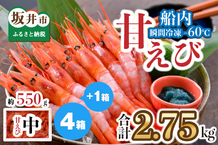 甘えび 約2.75kg 天然・鮮度抜群！ 漁船直送！ 「共栄丸」 絶品甘海老をお届け！【甘海老 甘エビ あまえび アマエビ エビ 刺身 冷凍 産地直送】 [C-2303]