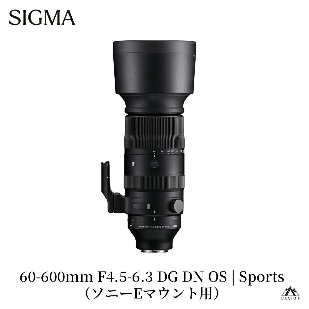 【ふるさと納税】SIGMA 60-600mm F4.5-6.3 DG DN OS | Sports