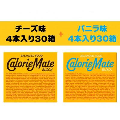 ふるさと納税 那賀町 「大塚製薬」カロリーメイトブロック　4本入り　チーズ味30箱・バニラ味30箱　計60箱