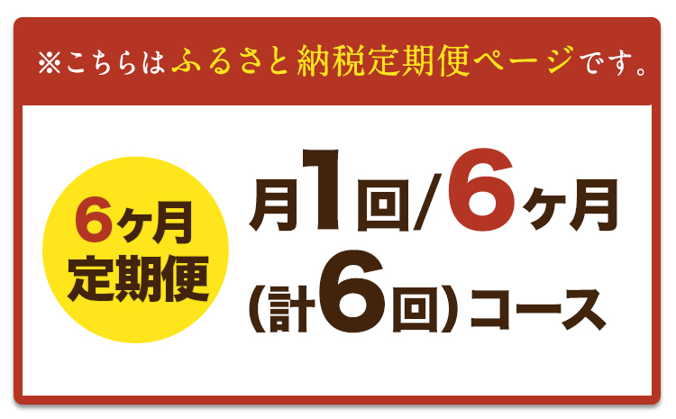 ハンバーグ 【6ヶ月定期便】【希少和牛】 あか牛ハンバーグ 150g×10個 長洲501 肉 《お申込み月の翌月から出荷開始》---sn_f501akhbtei_23_73500_mo6num1---