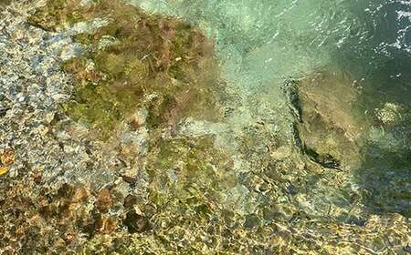 3ヶ月連続でお届け！ささきファームの令和5年産 ひとめぼれ 10kg 定期便 米 お米 こめ 三陸山田 YD-615