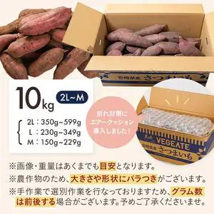 先行受付!【11月お届け】島津甘藷　熟成紅はるか 10kg(2L～M)〔12-A7-001-10kg-11〕_(都城市) 島津甘藷 紅はるか 未選別 10kg 2L～M
