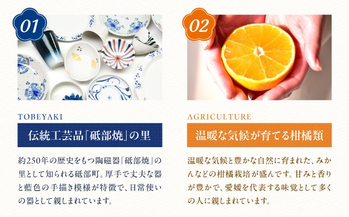 砥部焼 食器 和食器 器 皿 お皿 オーバル 楕円皿 おしゃれ 北欧 モダン