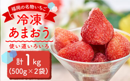 福岡産 冷凍 あまおう 1kg （500g×2袋）＜南国フルーツ株式会社＞那珂川市 [GCD005]