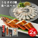 【ふるさと納税】うなぎの2種 食べ比べセット 2尾 合計340〜400g 各1尾 鰻 国産 うなぎ ウナギ 蒲焼き うな丼 湯引き 刺し身 うな重 国内産 国産 土用丑の日 冷凍 九州 送料無料