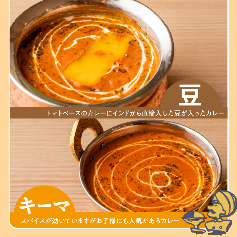 【辛口】ビスヌ 本格カレー 10食＋プレーンナン5枚＋チーズナン5枚_ビスヌ 本格 カレー 10食 プレーンナン チーズナン 各 5枚 辛口 バターチキン 豆 海老 チキン キーマ インドカレー ナン