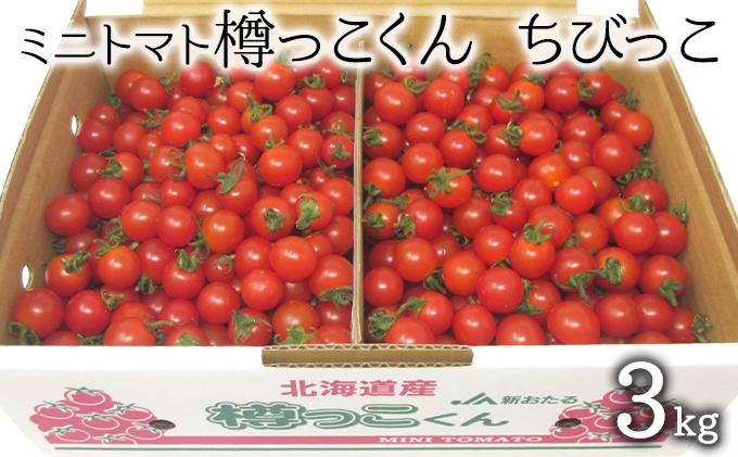 [先行受付] 北海道 仁木町産 樽っこくん ちびっこ 3kg（1.5kg×2箱） ミニトマト トマト 野菜 とまと[松山商店]