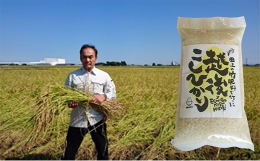 
                  竹米5kg（竹パウダーを使って栽培した米） お米 精米 白米 新潟県田上町
                