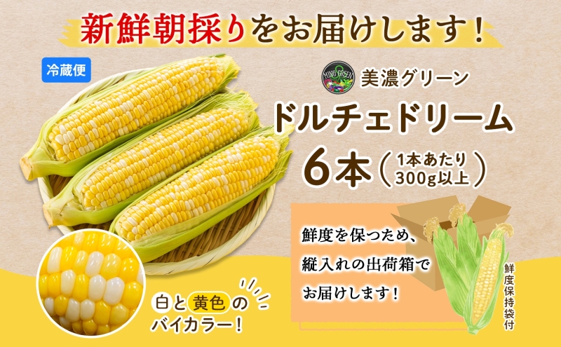 とうもろこし ドルチェドリーム 300g以上×6本 約1.8kg コーン もろこし バイカラー 白 黄 低農薬 高糖度 18度 甘い ジューシー 野菜 おやつ 旬 産地直送 送料無料 美濃グリーン 岐