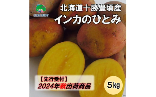 北海道十勝豊頃産 インカのひとみ5kg【2024年秋出荷】（先行受付）［安田農場］