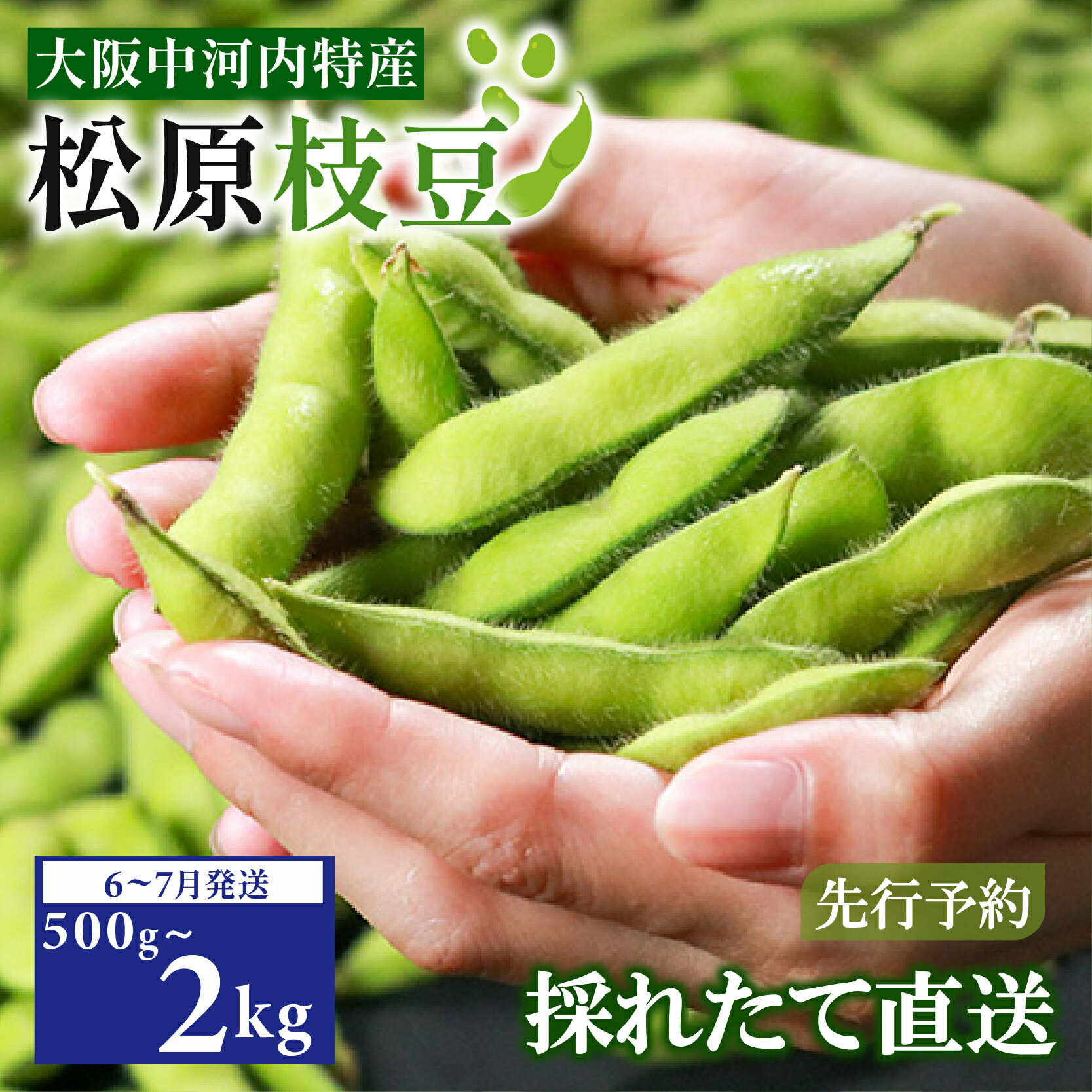 【ふるさと納税】 【先行予約】 枝豆 選べる 500g 1kg 2kg 有機肥料 濃厚な甘みと大粒のホクホク食感！ ビール の おつまみ 晩酌 に 夏野菜 旬 産地直送 冷蔵 お中元 上田ファーム 大阪府 松原市 送料無料