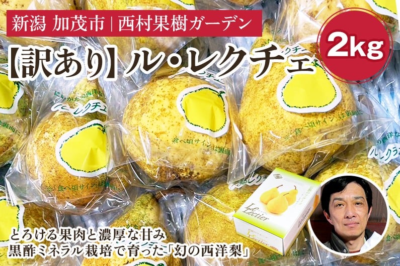 
            【2025年】【訳あり】西村の黒酢ミネラル栽培「ル・レクチェ」2kg（5～7玉）《11月下旬〜順次発送》 幻の西洋梨 梨 果実 フルーツ 冬の味覚 加茂市 西村果樹ガーデン
          