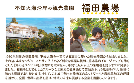 九州果実ジャム 熊本県セット 6個セット デコポンジャム 甘夏マーマレード 晩白柚ジャム 1個あたり120g《30日以内に出荷予定(土日祝日除く)》熊本県 水俣市 津奈木町 福田農場 ジャム マーマレ